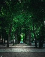 Stadtpark Hannover