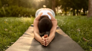 Yoga im Finkennest