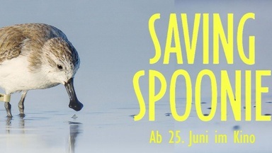 FILMPREMIERE: Dokumentarfilm "SAVING SPOONIE" mit Gästen
