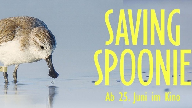 FILMPREMIERE: Dokumentarfilm "SAVING SPOONIE" mit Gästen