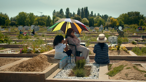 THOSE WHO WATCH OVER