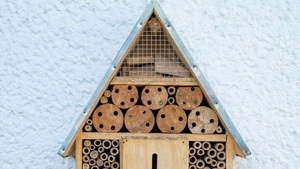 Ferienpass: Wir bauen ein Insektenhotel