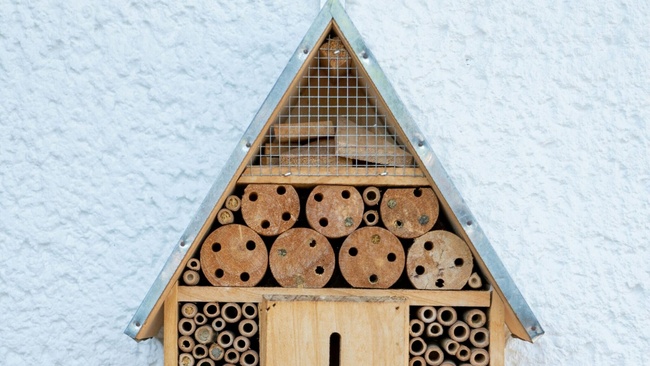 Ferienpass: Wir bauen ein Insektenhotel