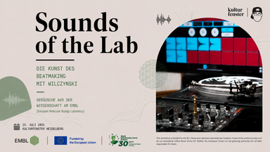 Sounds of the Lab Workshop - Gestalte Musik aus Wissenschaft | Ab 14 Jahren