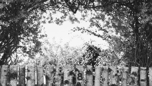 Ausstellungseröffnung "Kleingarten Eden"