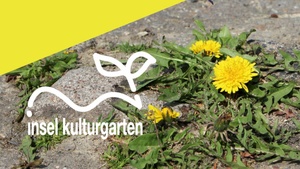 INSEL Kulturgarten 2026 / Bleibefreiheit