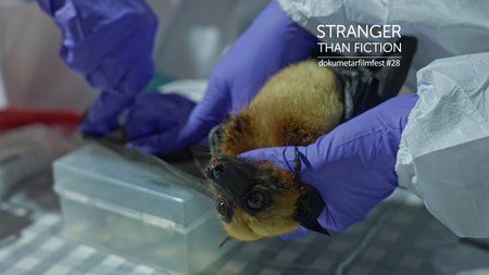 Blame | Stranger Than Fiction