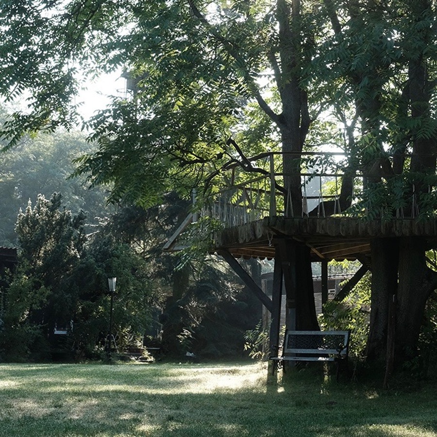 Sacred Ground Festival 2022