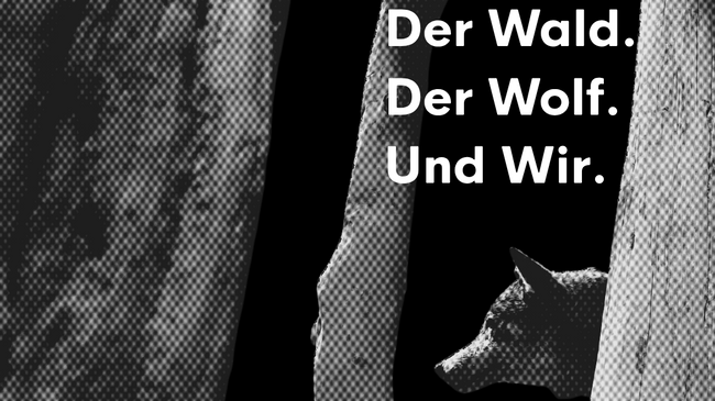 Premiere: Der Wald. Der Wolf. Und Wir. - Das neue Stück der Theaterbande