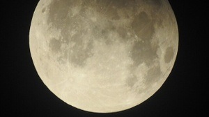 Beobachtung der totalen Mondfinsternis auf der Wilhelm-Foerster-Sternwarte