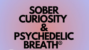 SOBER CURIOSITY WORKSHOP