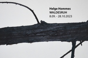 WALDESRUH – Einzelausstellung Helge Hommes