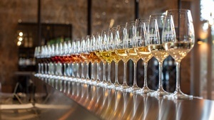 Weinprobiertage im BASF Weinkeller