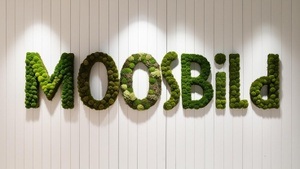 WORKSHOP: Moos-Bilder gestalten