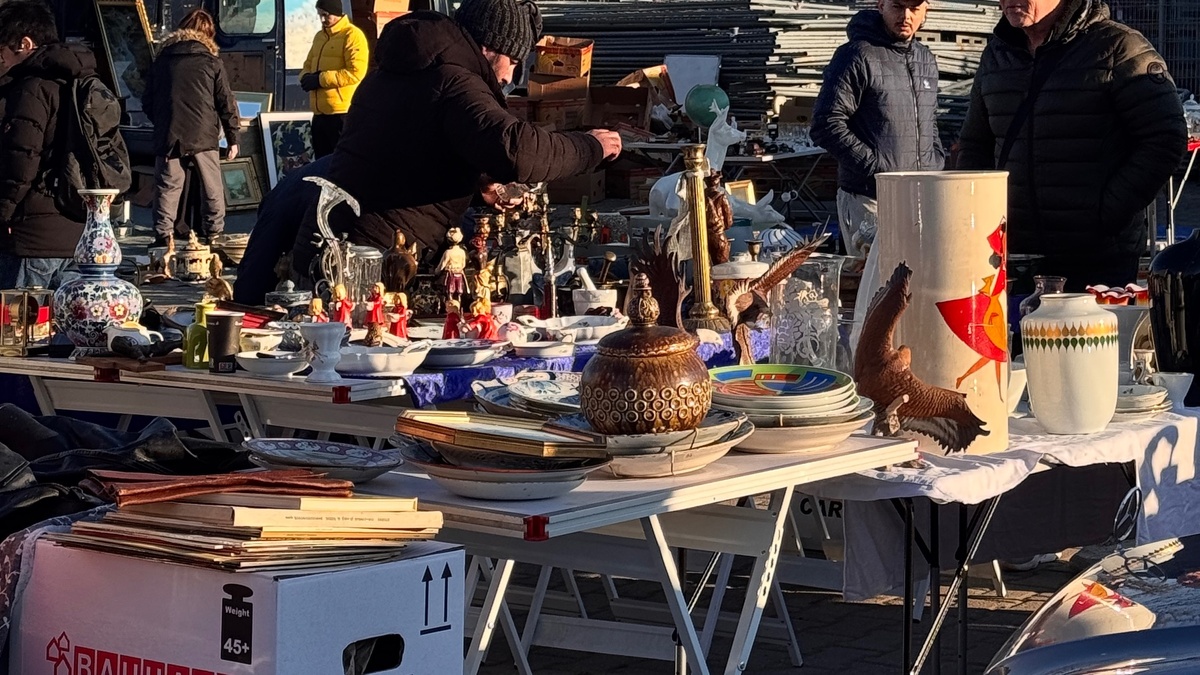 Düsseldorfer Flohmarkt am Blumengroßmarkt