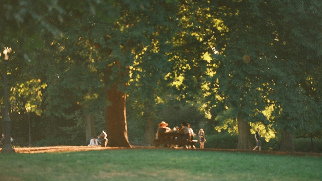 Tending to What Matters | Shared Table Picnic (For Men*)