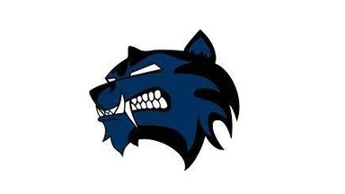 1.Bundesliga Lacrosse Damen: Heimspiel der Wolverines