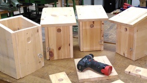 Nisthilfen bauen - Workshop für Frauen