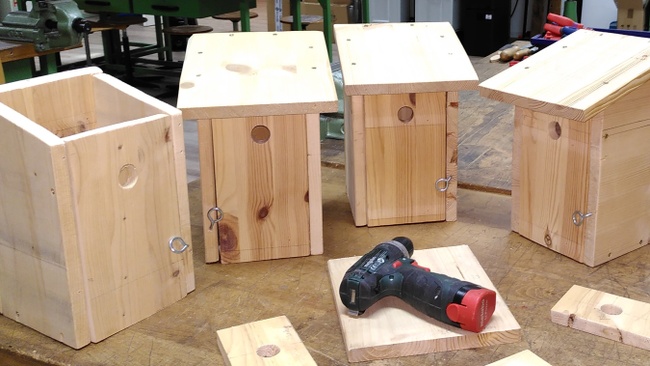 Nisthilfen bauen - Workshop für Frauen