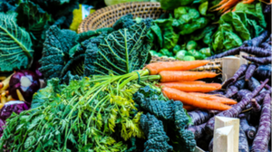 Aktionstage zu fairer und nachhaltiger Ernährung in den städtischen Kantinen
