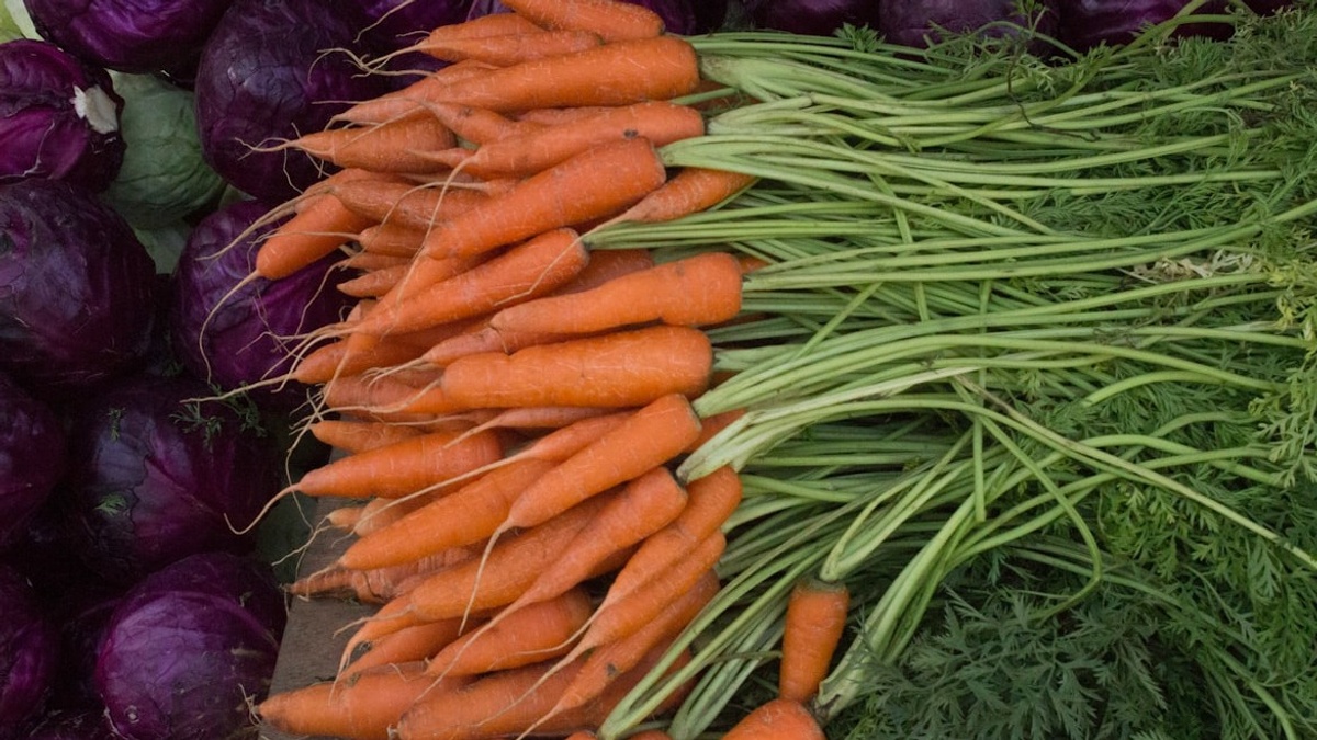 Markt Stieghorst