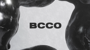 BCCO