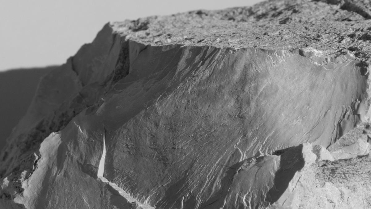 Jelena Bulajić: Untitled (after)