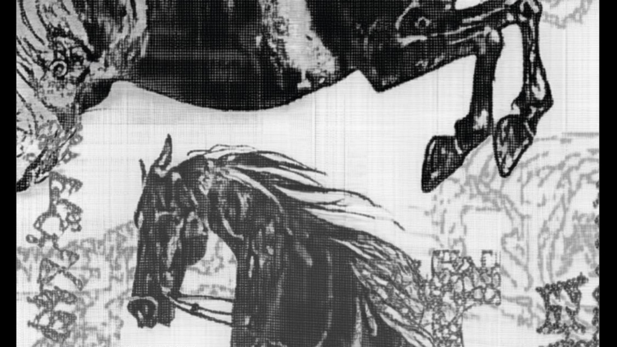 0711 x Stuttgarter Hofbräu Shirt Release PopUp Event