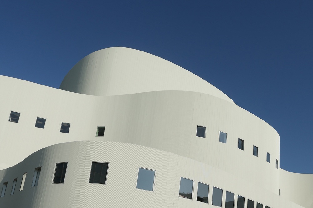 Der blinde Passagier