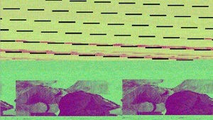 Human Work – Junge Kunst aus Münster