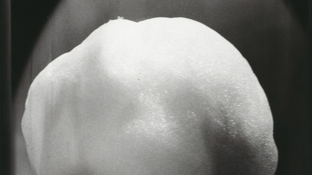 Dörte Eißfeldt . Archipelago