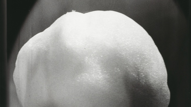 Dörte Eißfeldt . Archipelago