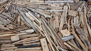 Richard Long - Rhine Driftwood Line