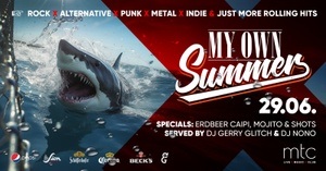 *Premiere* MY OWN SUMMER - Unsere Sommer Party mit DJ Gerry + DJ Nono