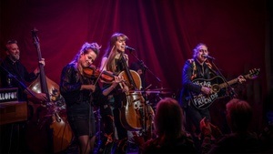 Yellofox - contemporary Folk-Americana