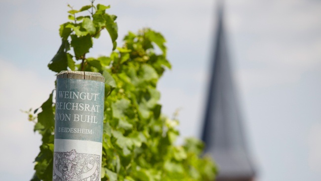 Winzerbesuch: Ein Abend mit Reichsrat von Buhl