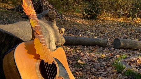 Waldzeit Köln „Singen unter freiem Himmel“