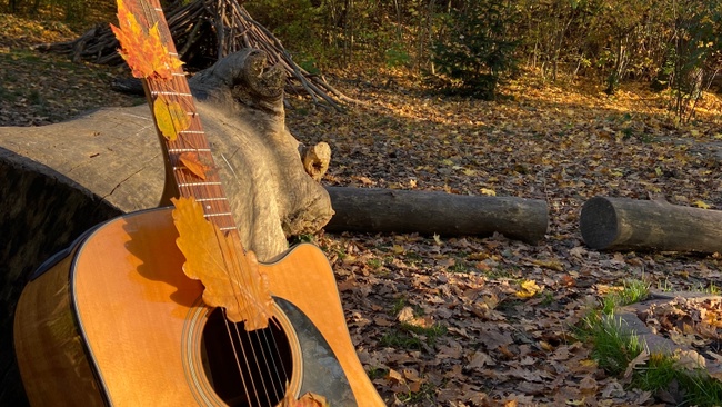Waldzeit Köln „Singen unter freiem Himmel“