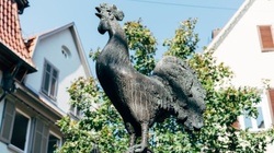 Bürgerpark Reutlingen