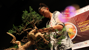 BONSAI WARRIOR - Kölner Kino Nächte