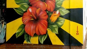 Osterferien: Abenteuer Regenwald Muralismo – Bunte Wände, große Ideen