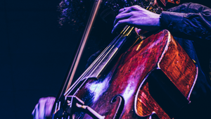 Coldplay, Queen and other Masterpieces of Rock (Vivalis Project)