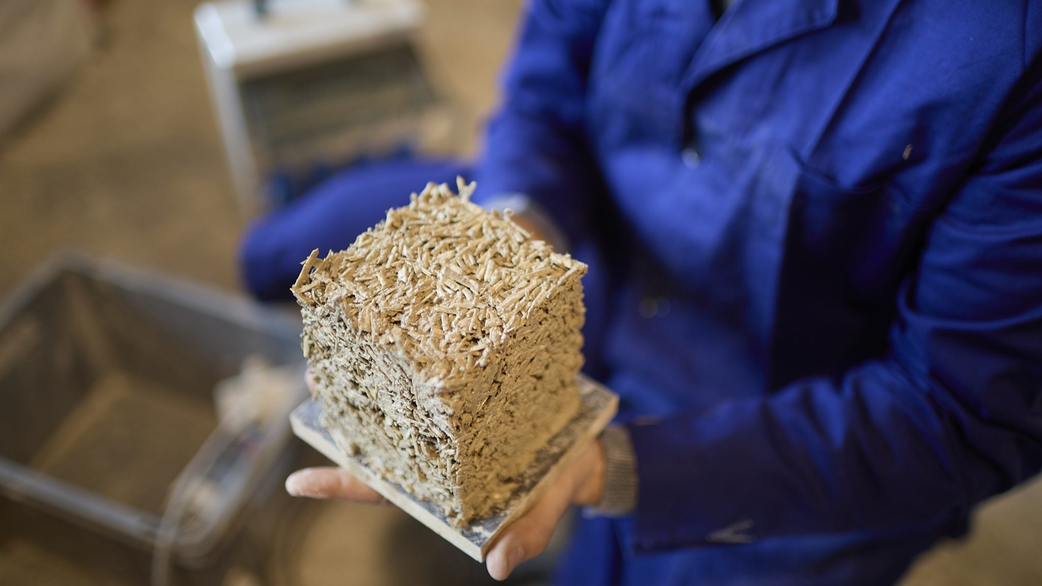 Workshop: Hanfkalk als Baustoff der Zukunft
