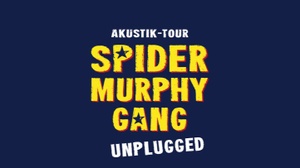 BURGHAUSER KONZERTSOMMER - Spider Murphy Gang unplugged