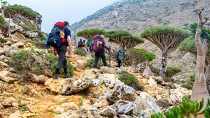 Sokotra – Eine Expedition ins Ungewisse