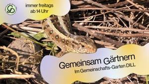 Gemeinsam Gärtnern im DILL