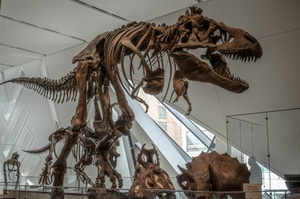 Dinosaurier - Die Urzeit lebt!