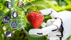 Ernährungssysteme mit Zukunft – das Essen von Morgen