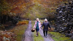 "AusBLICK. Unsere Sonntags-Preview": WENN DER HERBST NAHT