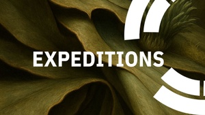 Expeditions